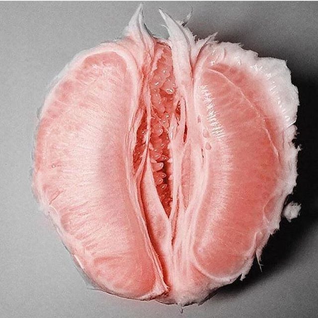 vulva