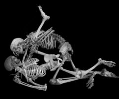 Bring on the Spoopy!
