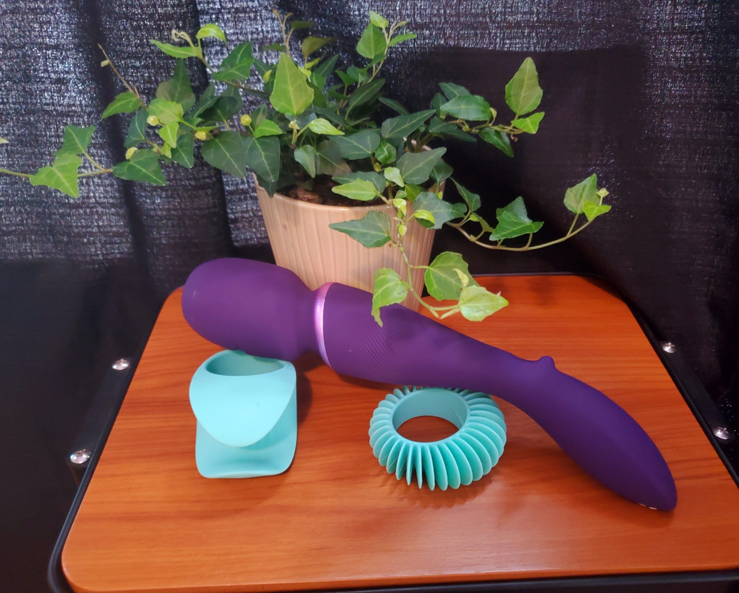 We-Vibe Rechargeable Waterproof Wand Review