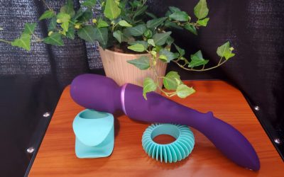 We-Vibe Rechargeable Waterproof Wand Review