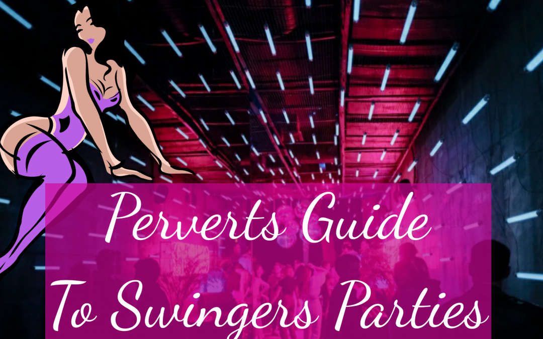 perverts guide to swingers parties dildo or dildont